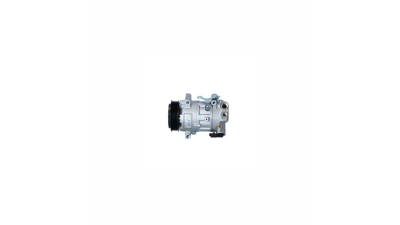 Compresor climatizare Diametru rola (mm): 108, DENSO DCP21024