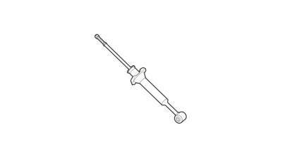 Amortizor Ford Mondeo 4 (Ba7) Delphi DG10048, parte montare : Punte Spate, Presiune Gaz
