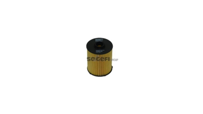 Filtru combustibil Coopersfiaam Filters FA5557ECO