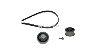 Kit distributie Flennor F924382V