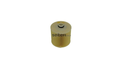 Filtru aer Coopersfiaam Filters FL9119