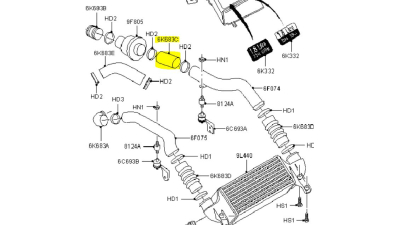 Furtun Ford 1201163