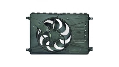 Electroventilator Ford 1593900