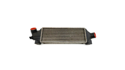 Radiator Itercooler 2.0 Tdci Ford 1671443