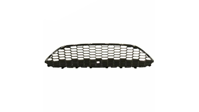 Grila Radiator Ford 2027614