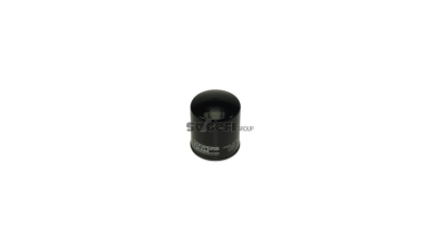 Filtru combustibil Coopersfiaam Filters FT4946