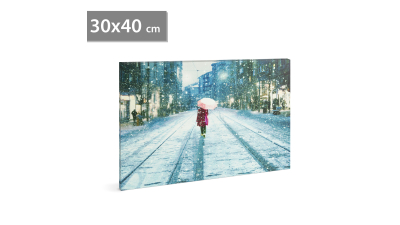 FAMILY POUND - Tablou cu LED – peisaj de iarna, 30 x 40 cm