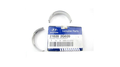 Cuzineti Hyundai 210202G020