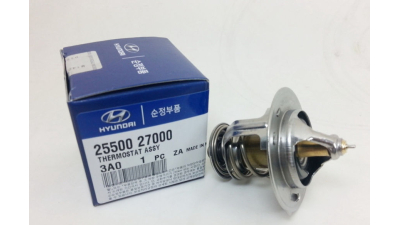 Termostat Lichid Racire Hyundai 2550027000