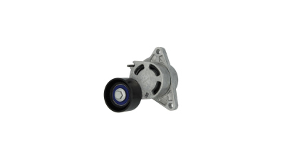Intinzator curea curea distributie INA 534018110 Renault Laguna 2 Grandtour (Kg0/1) Master 2 Caroserie (Fd) Master 2 Bus (Jd) Laguna 2 (Bg0/1) Espace 4 (Jk0/1) Vivaro Platou / Sasiu (E7) Master 2 Plat