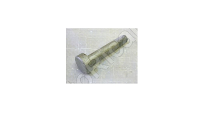 Bolt Iveco 42555242