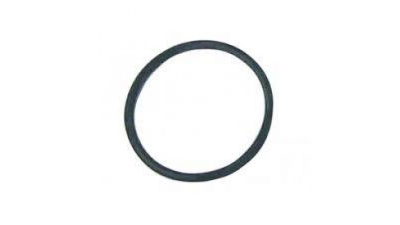 Oring Sorb Rezervor Combustibil - O.E. Mercedes A0119970745