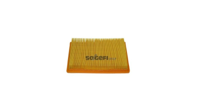 Filtru aer Coopersfiaam Filters PA7219