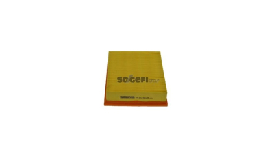 Filtru aer Coopersfiaam Filters PA7391