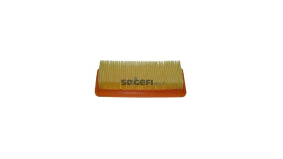 Filtru aer Coopersfiaam Filters PA7421