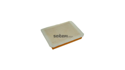 Filtru aer Coopersfiaam Filters PA7502