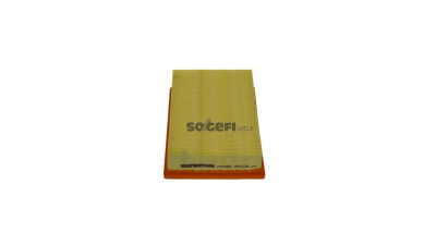 Filtru aer Coopersfiaam Filters PA7566
