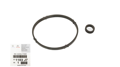 Set O-Ring -O.E. Peugeot 1103J7