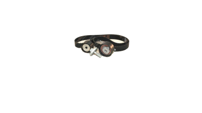 Set curea de distributie DACIA DUSTER, LOGAN, LOGAN II, LOGAN MCV, SANDERO; NISSAN KUBISTAR; RENAULT CLIO, CLIO II, CLIO III, KANGOO, LAGUNA I 1.4-1.6LPG, 8671019548,  piesa originala OE