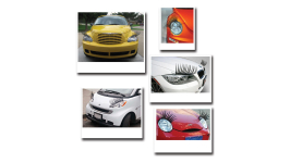 images