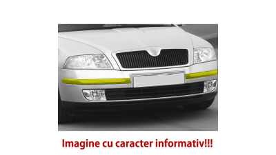 Bandou bara fata Mercedes Clasa ML (W164), 07.2005-2008, inferior, 16488507257C45, 50450711