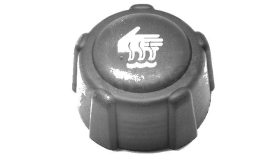 Buson vas expansiune Dacia Logan Solenza Supernova Sandero Duster Renault Nissan Opel