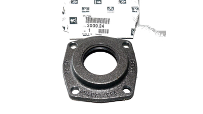 Capac Plastic Protectie Peugeot 300924