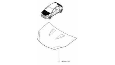Capota Fata Motor Dacia Sandero 2008-2013 ; 6001551793
