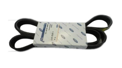Curea Transmisie 6pk1893 Bmw X5 X6 Chevrolet Captiva Epica Evanda Lacetti Nubira Rezzo Daewoo Leganza Nubira Tacuma Ford Focus Mitsubishi Galant Opel Antara Zafira Saab 9-3 900 9000 Toyota Celica Rav