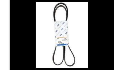 Curea Transmisie Ford 1102827