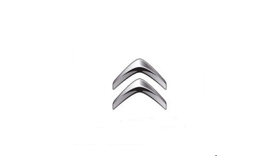 Grila Radiator Citroen 7810H7