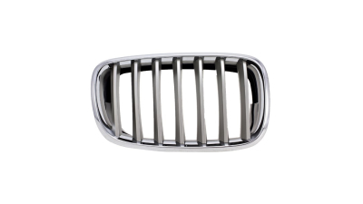 Grila radiator Bmw X5 (E70), 10.2006-04.2010, X6 (E71 E72), 01.08-12.13 stanga, titan, 51137185223 originala