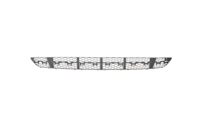Grila bara fata Mercedes Clasa E (W211) AVANGARDE 03.2002-06.2006, Centru, 2118850553, Model AVANGARDE