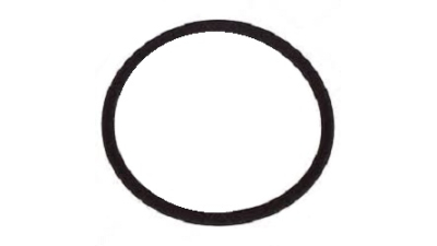 O Ring Vw WHT001689
