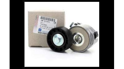 Rola Intinzatoare Opel 55190813