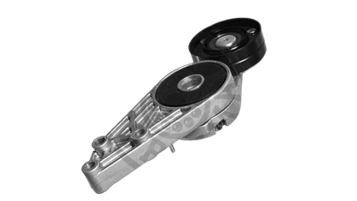 Intinzator Audi A4, 1994-2004, A6, 1994-2005, Skoda Superb, 2001-2008, Vw Passat, 1996-2005, INA