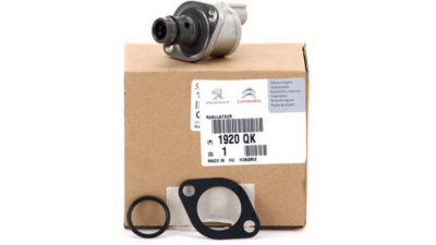 Supapa presiune combustibil rampa Peugeot Jumper 3, Boxer 3, Original, 1920QK