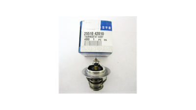 Termostat Lichid Racire Hyundai 2551042010
